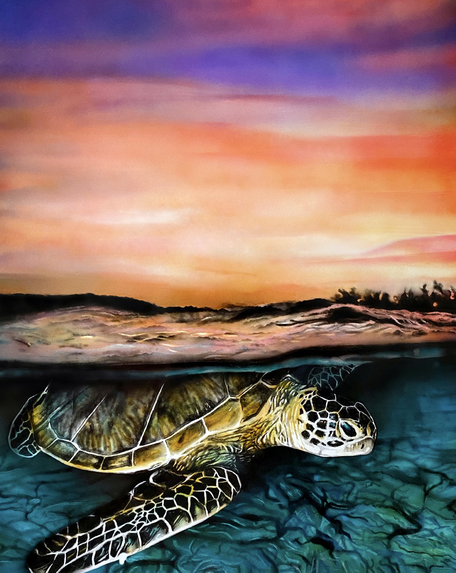 Sea Turtle at Sunset